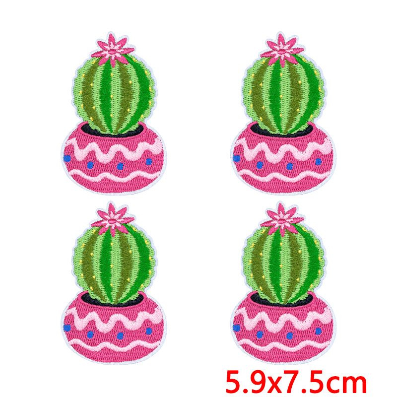 10Pcs/Lot Western Desert Iron  - đánh giá và giá Aloe Vera Pot