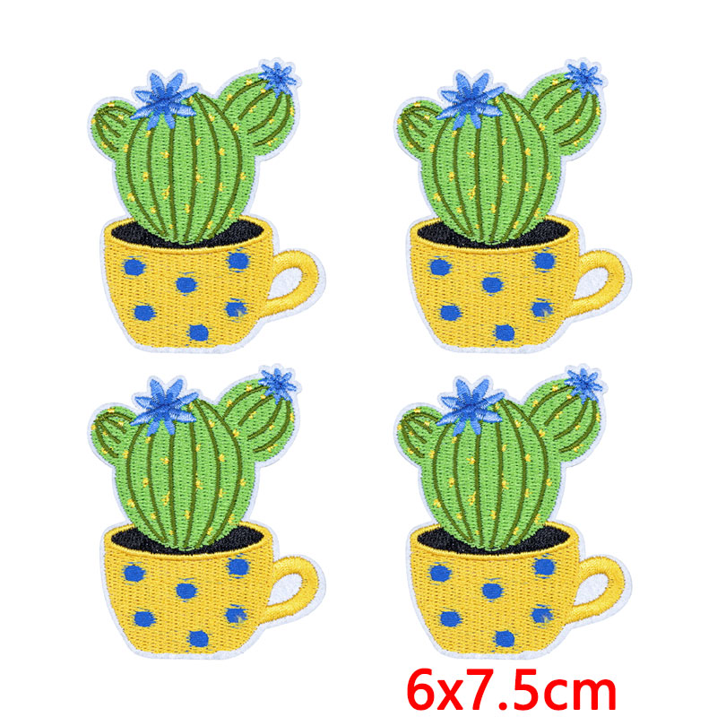 10Pcs/Lot Western Desert Iron  - đánh giá và giá Aloe Vera Pot