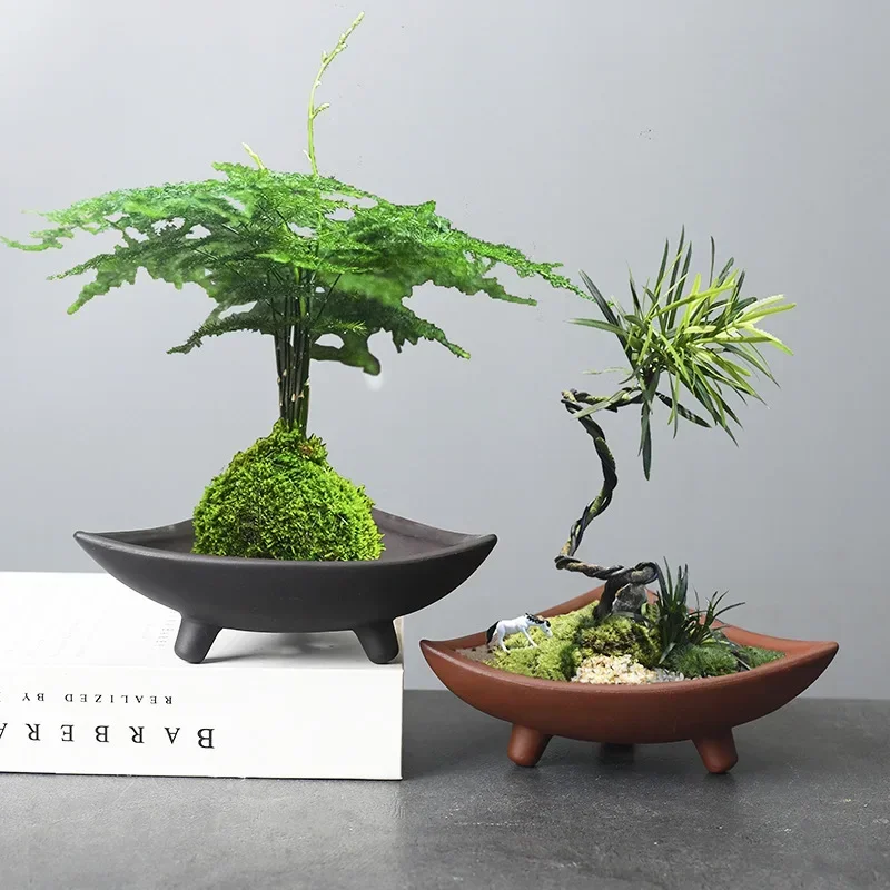 Personalized Ceramic Flower Po - đánh giá và giá Pilea Peperomioides