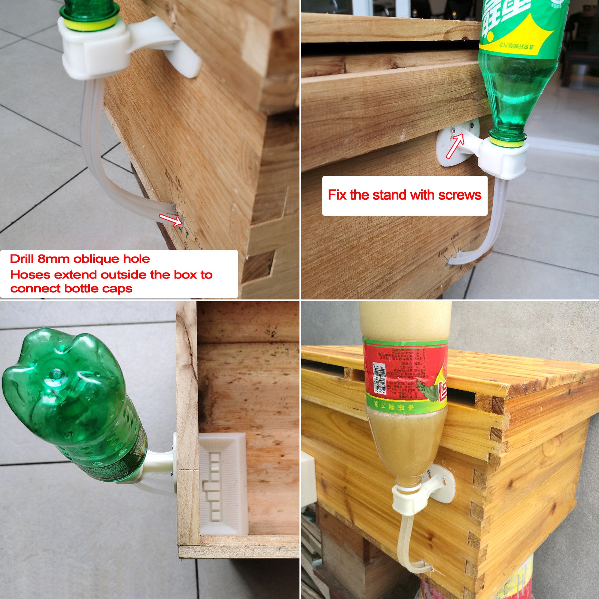 2Pcs Automatic Feeding Drinker - đánh giá và giá Begonia Rex