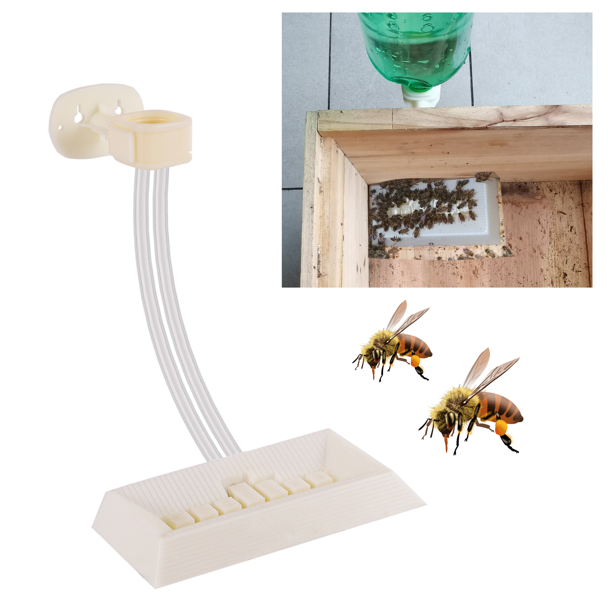 2Pcs Automatic Feeding Drinker - đánh giá và giá Begonia Rex
