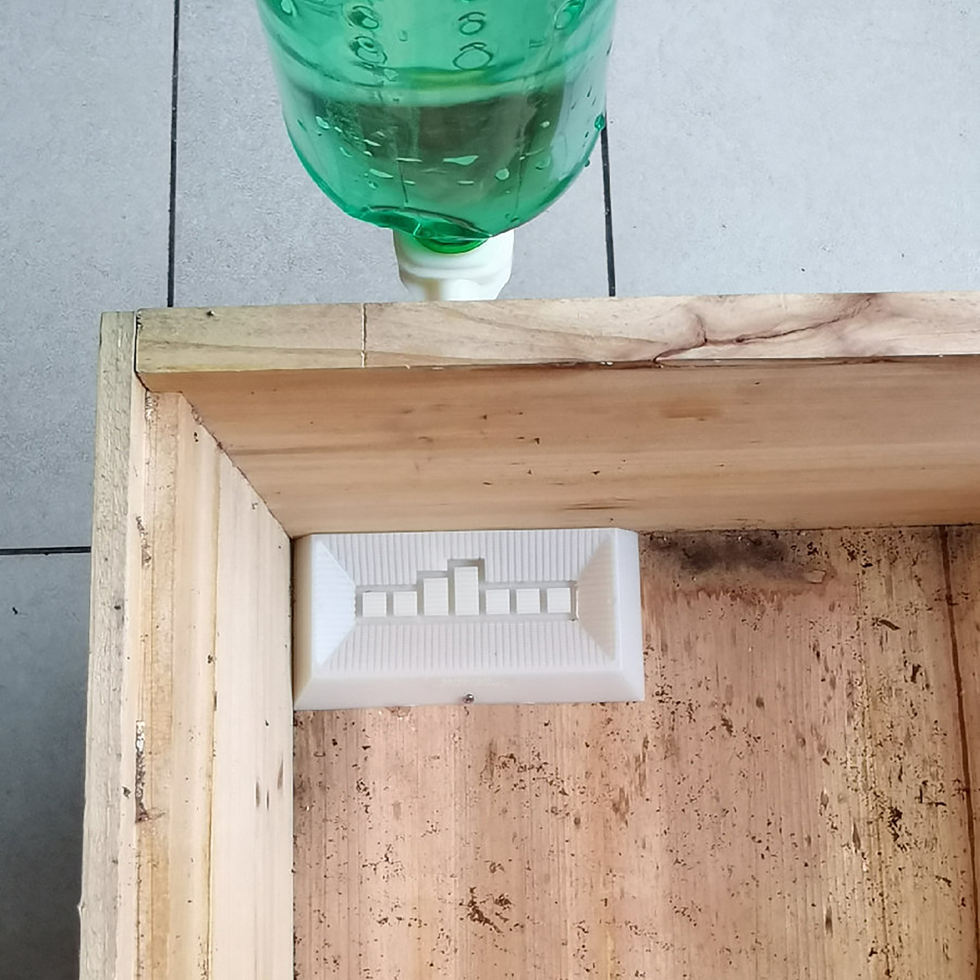 2Pcs Automatic Feeding Drinker - đánh giá và giá Begonia Rex