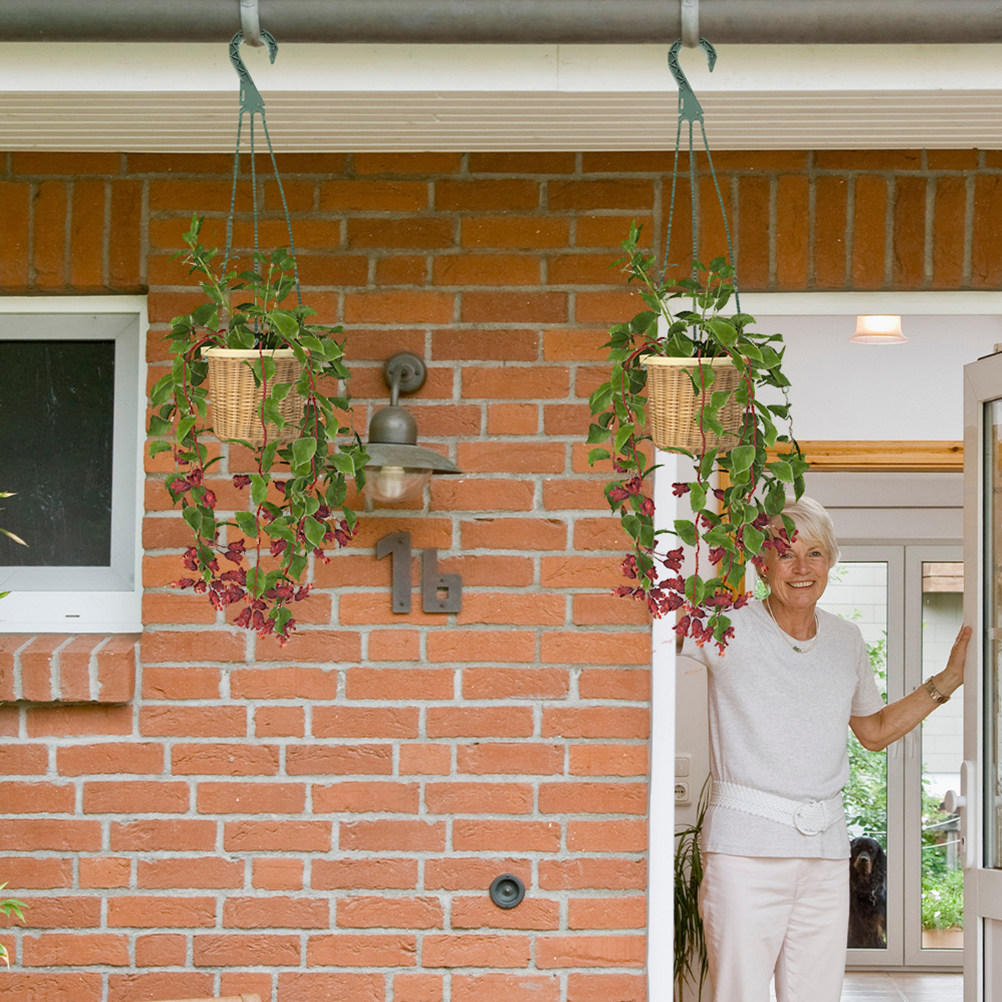 5Pcs Heavy Duty Hanging Basket - đánh giá và giá Spider Plant Hanging