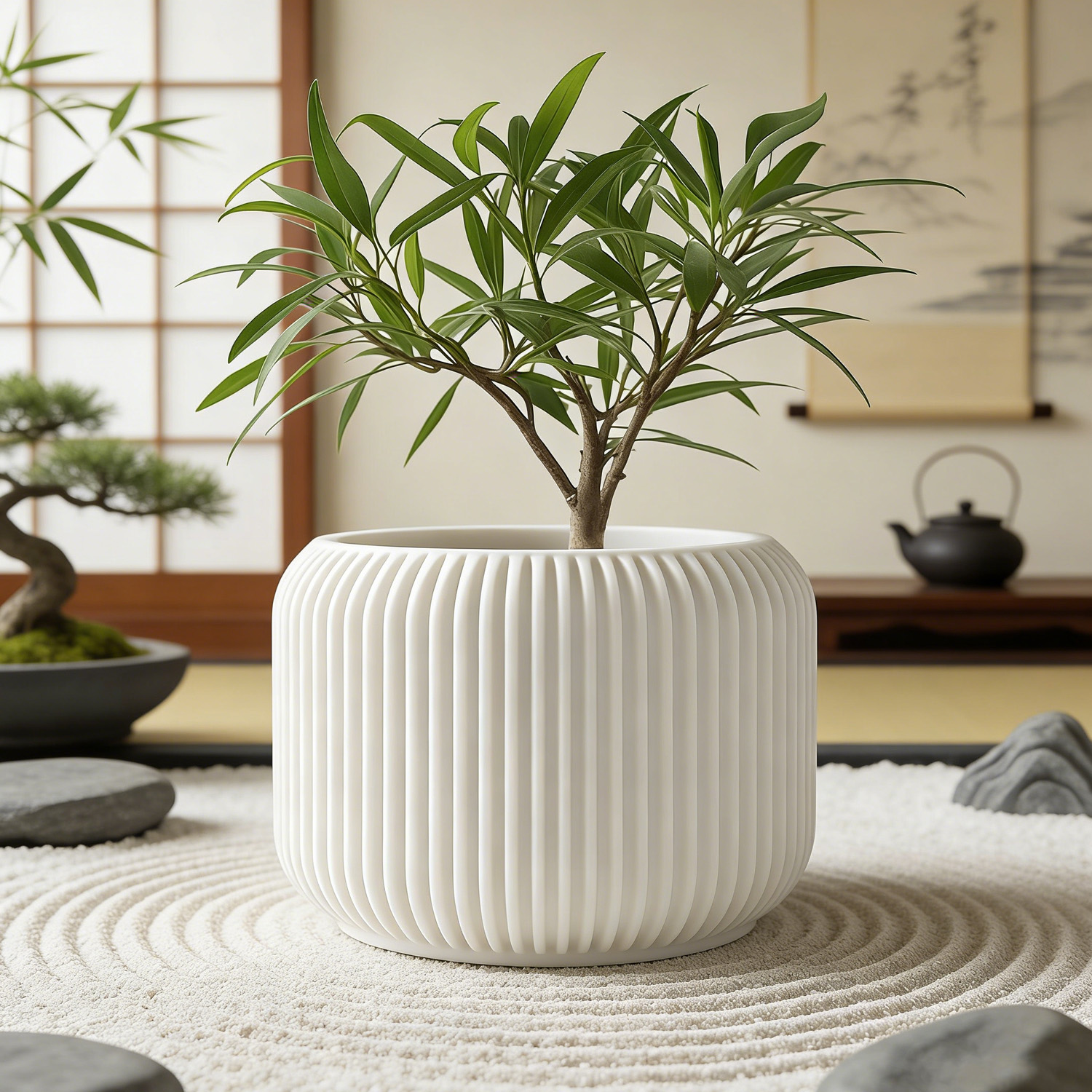 Modern Minimalist 3D Printed P - đánh giá và giá Aloe Vera Pot