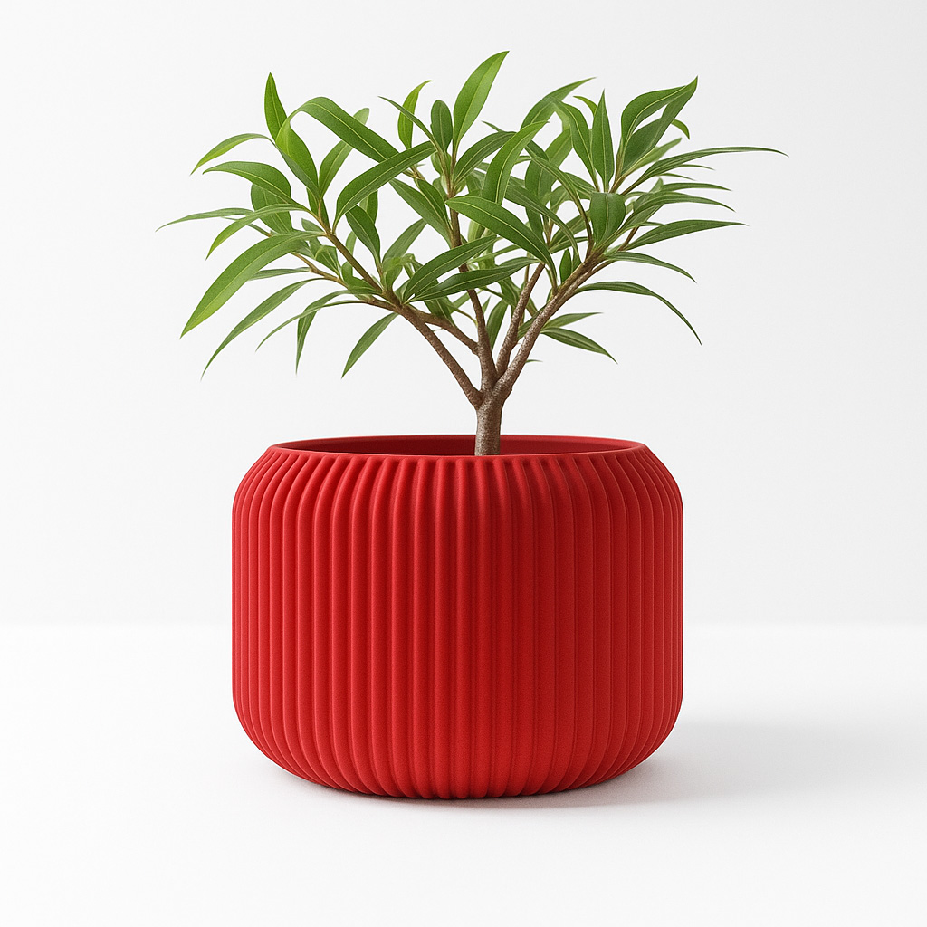Modern Minimalist 3D Printed P - đánh giá và giá Aloe Vera Pot
