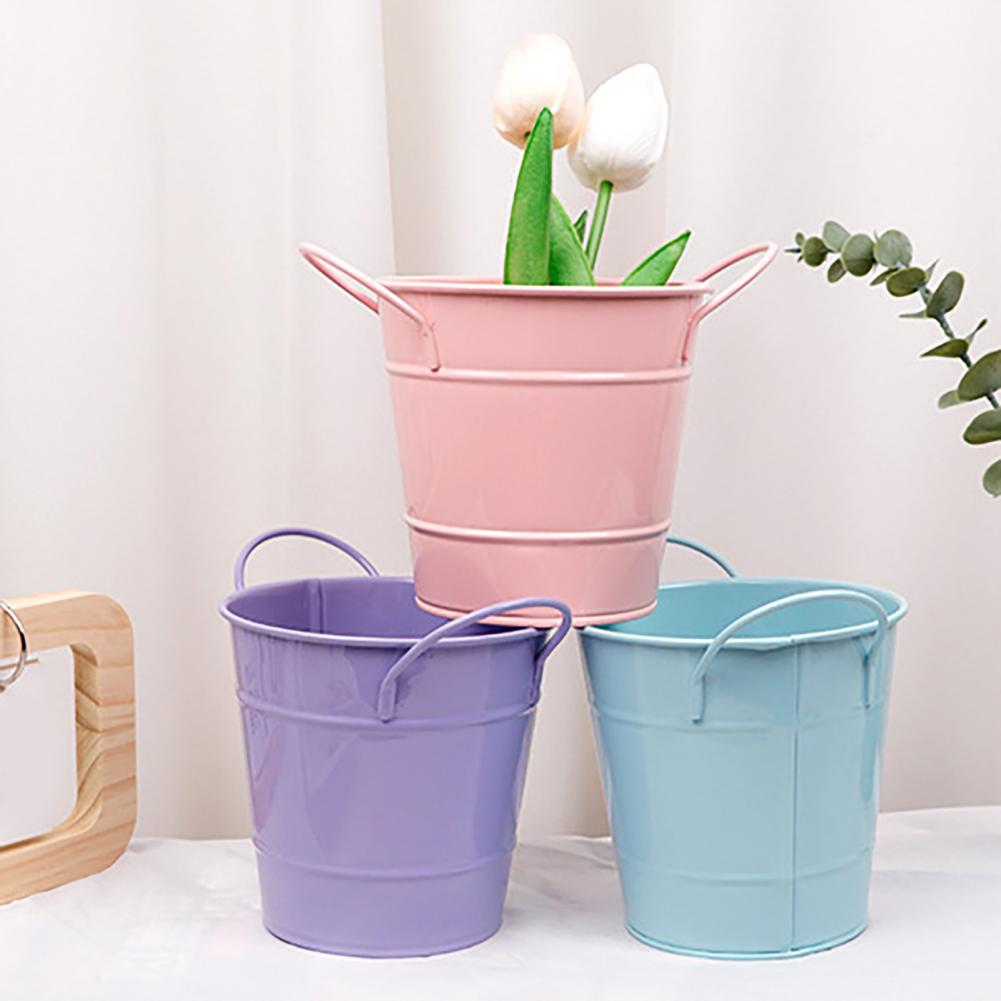Flowerpot Candy Colored Iron F - đánh giá và giá Pilea Peperomioides