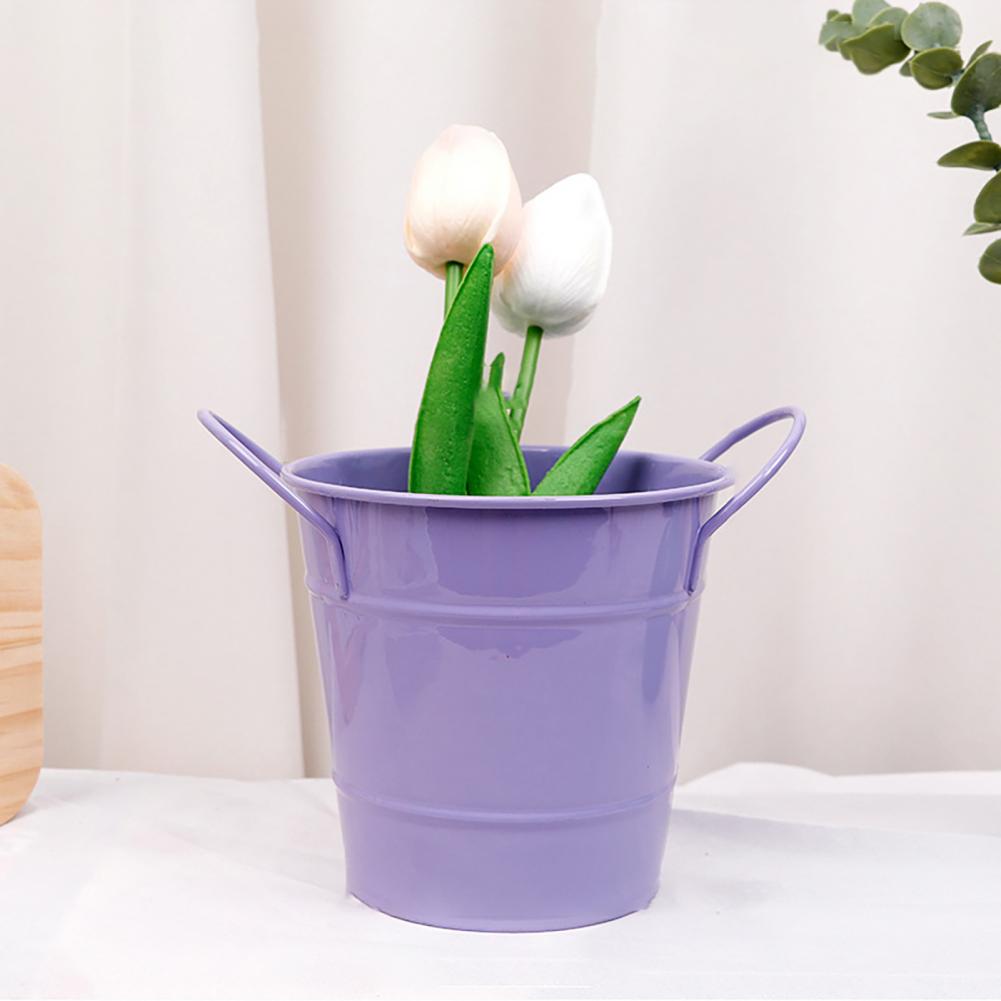 Flowerpot Candy Colored Iron F - đánh giá và giá Pilea Peperomioides