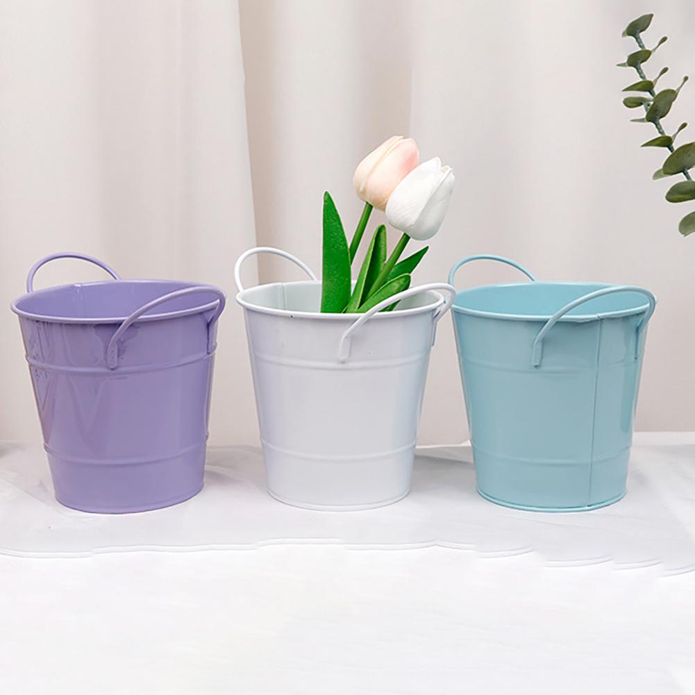 Flowerpot Candy Colored Iron F - đánh giá và giá Pilea Peperomioides