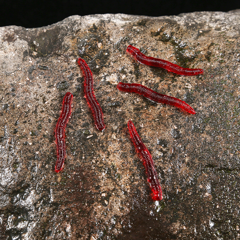 CIBO 50pcs-Artificial Red Worm - đánh giá và giá Aglaonema Red