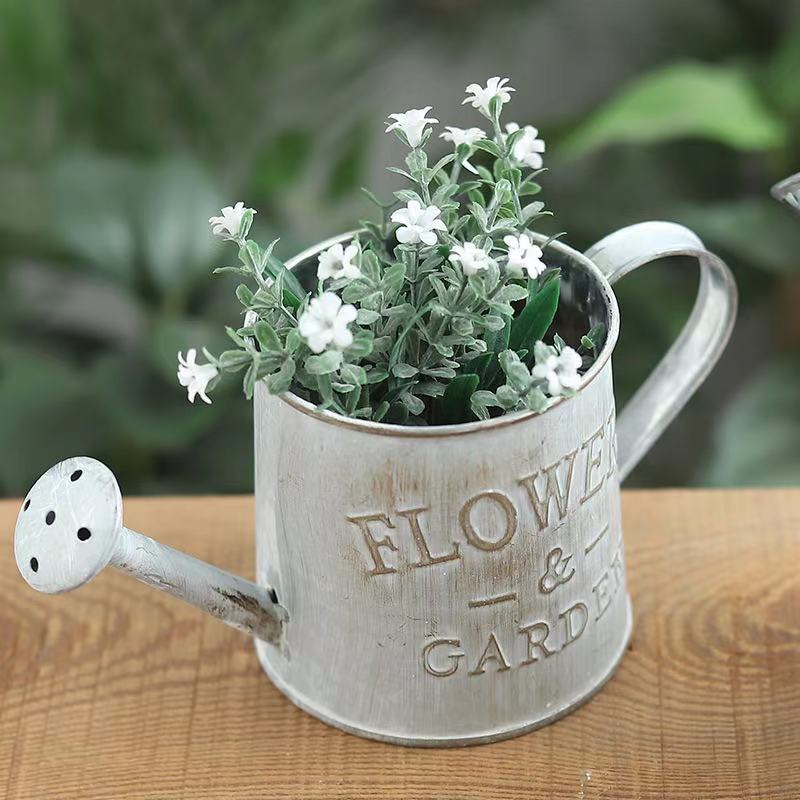 Barrels Garden Decoration Tin  - đánh giá và giá Pilea Peperomioides