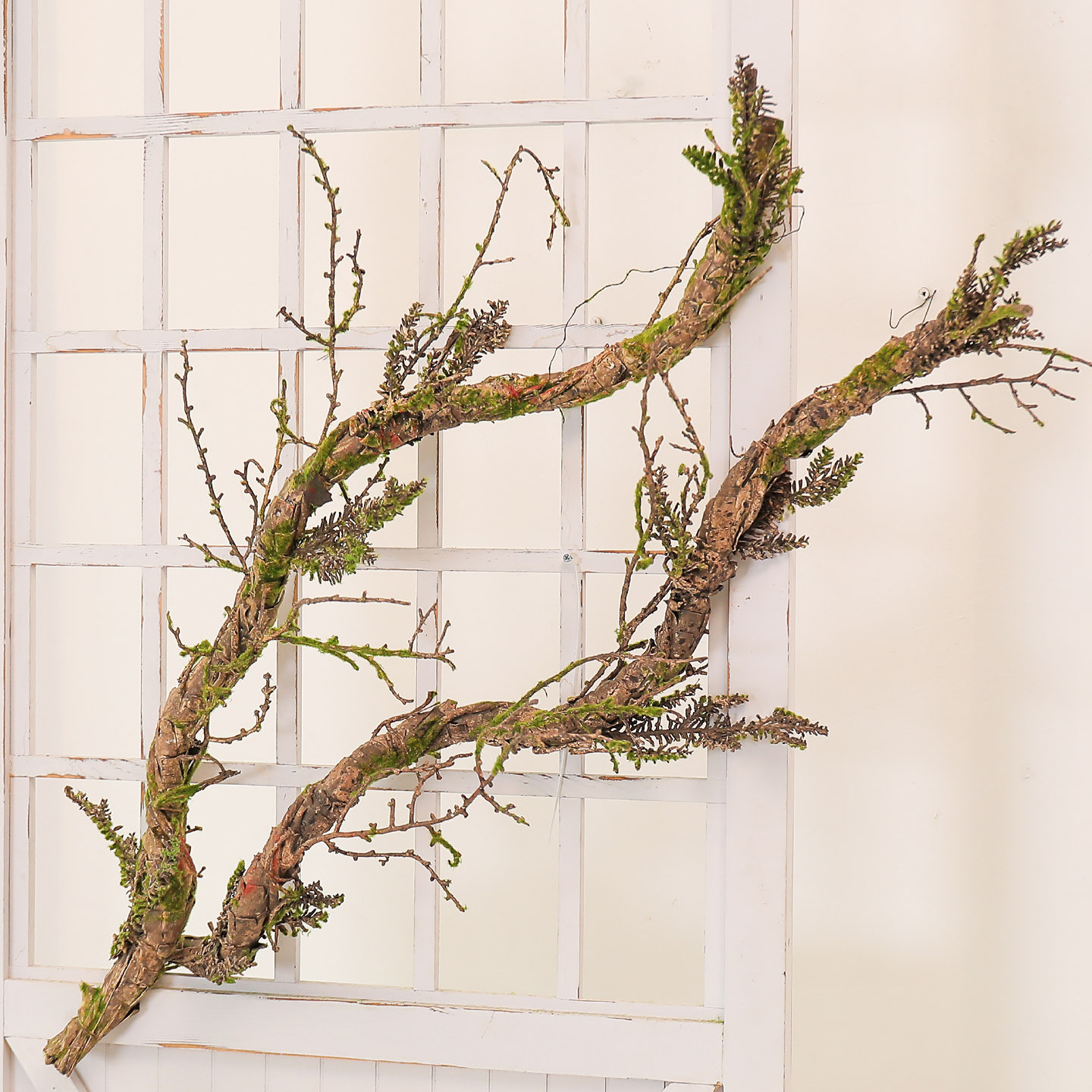 New Withered Vines Artificial  - đánh giá và giá Pilea Peperomioides