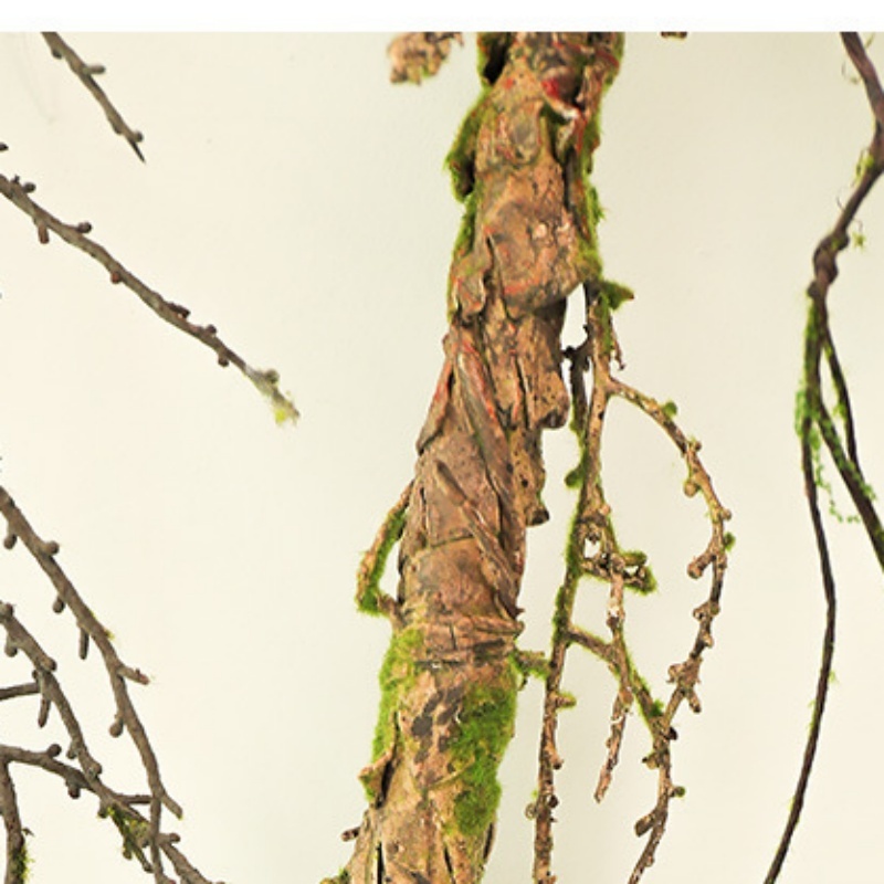 New Withered Vines Artificial  - đánh giá và giá Pilea Peperomioides