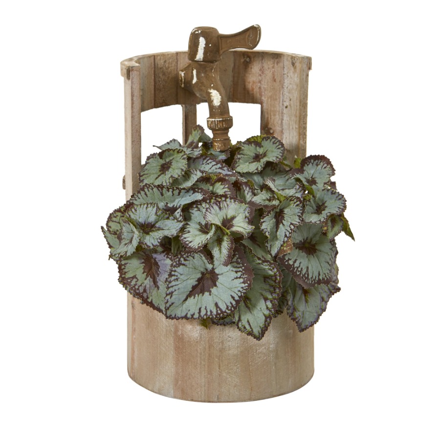 12in. Rex Begonia Artificial P - đánh giá và giá Begonia Rex