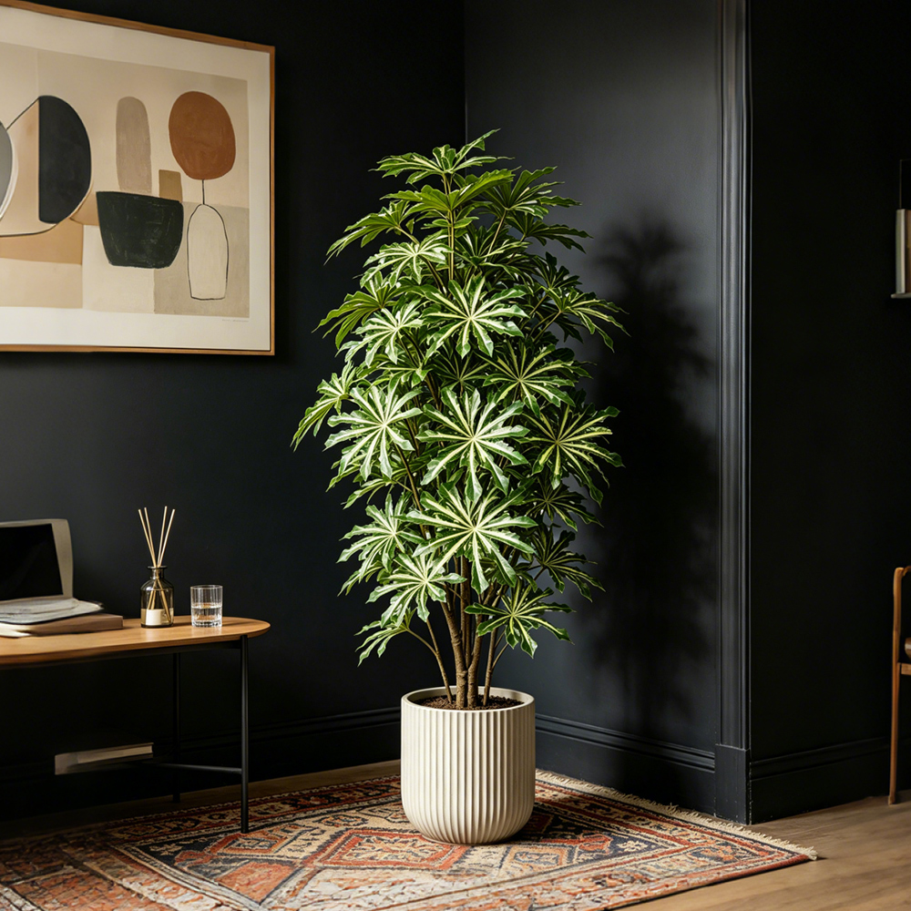 80-96cm Large Artificial Cassa - đánh giá và giá Ficus Lyrata Tree
