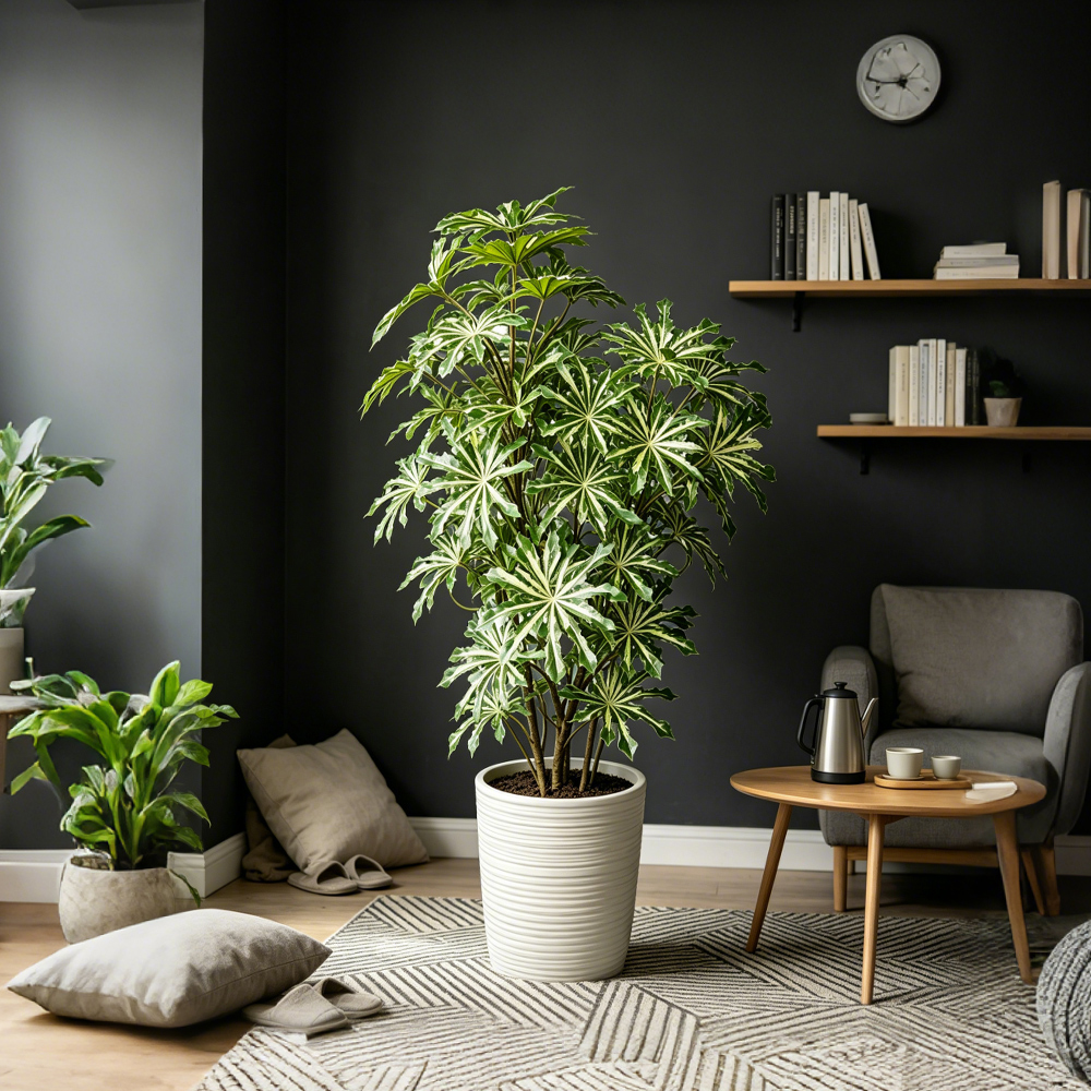 80-96cm Large Artificial Cassa - đánh giá và giá Ficus Lyrata Tree