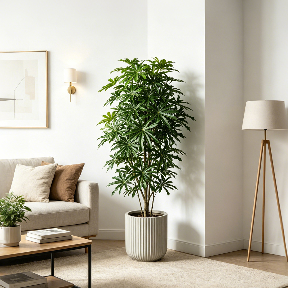 80-96cm Large Artificial Cassa - đánh giá và giá Ficus Lyrata Tree