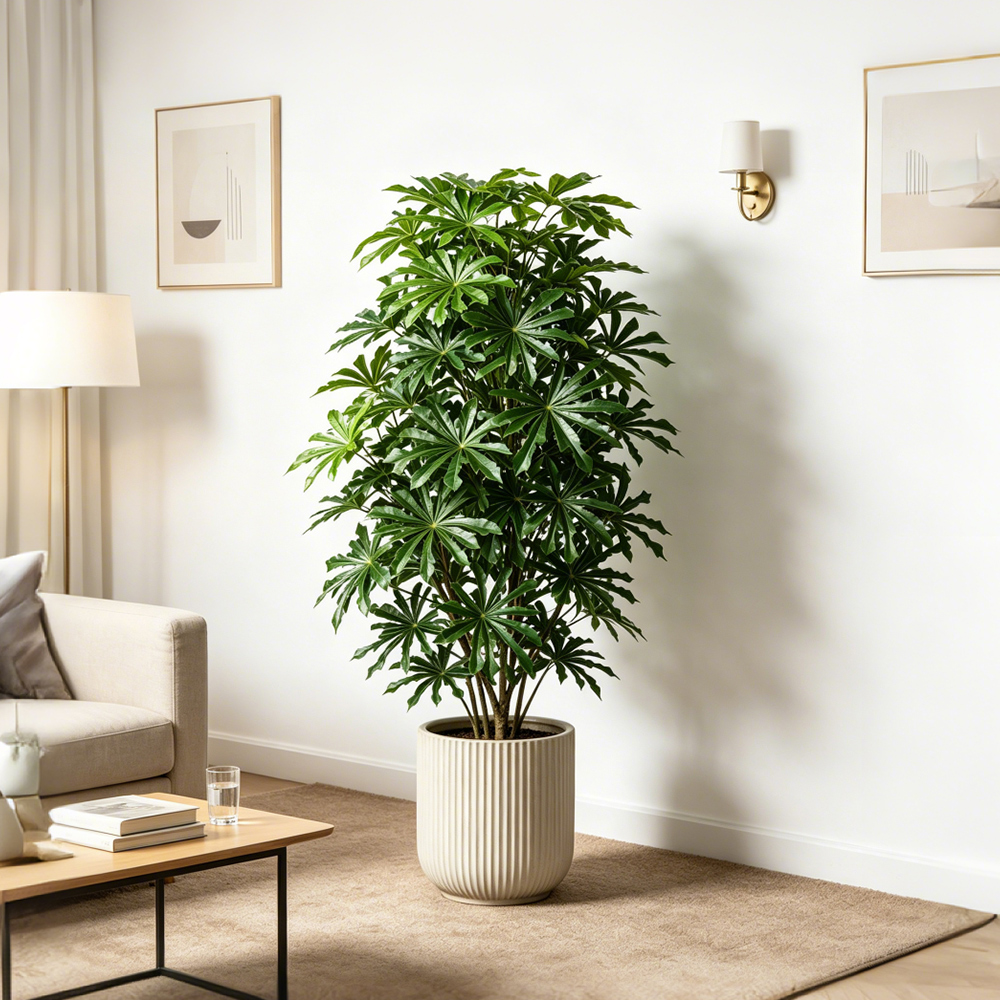 80-96cm Large Artificial Cassa - đánh giá và giá Ficus Lyrata Tree