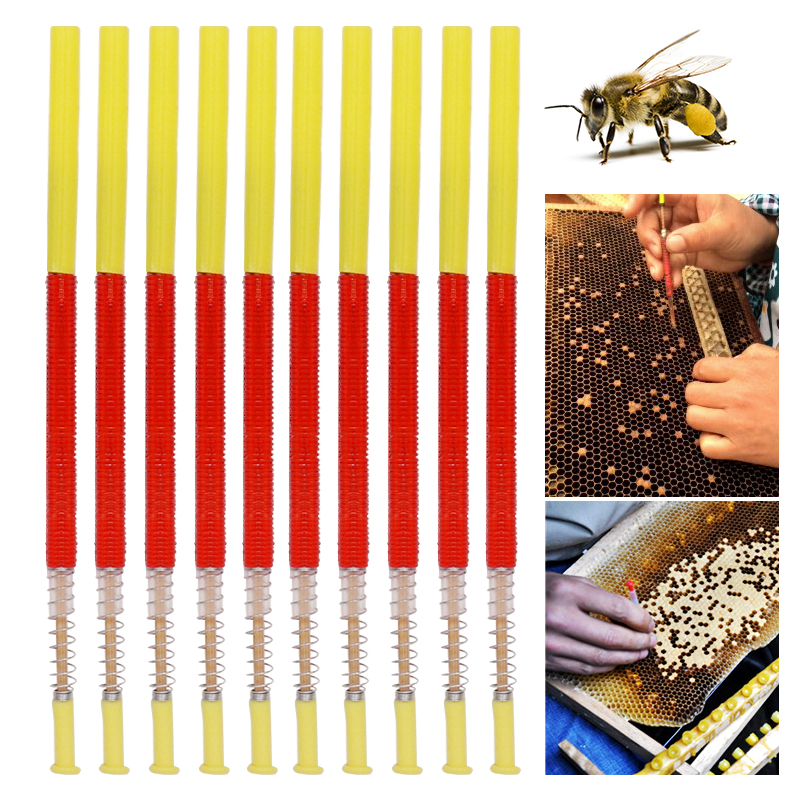 5/10Pcs Beekeeping Grafting To - đánh giá và giá Begonia Rex