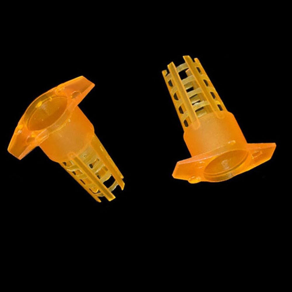 20 pcs Plastic Bee Queen Cage  - đánh giá và giá Begonia Rex