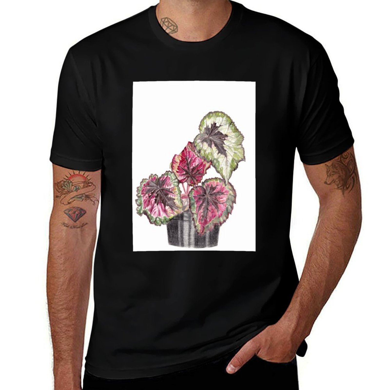 Begonia Rex T-Shirt Simple Gra - đánh giá và giá Begonia Rex