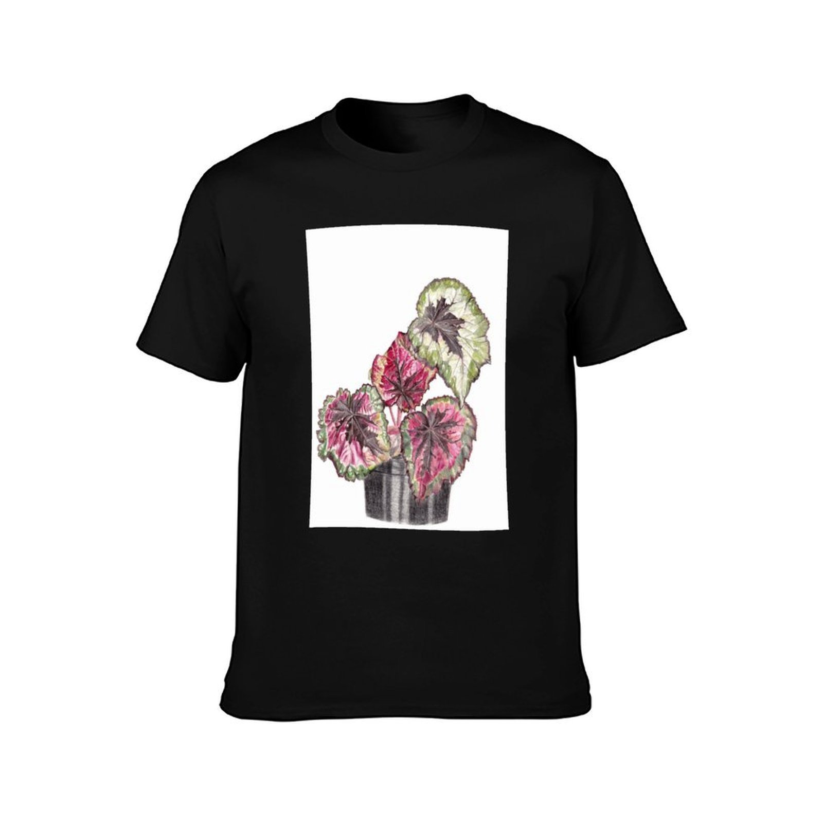 Begonia Rex T-Shirt Simple Gra - đánh giá và giá Begonia Rex