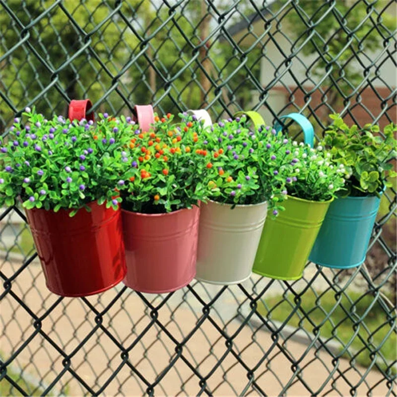 10 Colors Metal Iron Flower Wa - đánh giá và giá Pilea Peperomioides