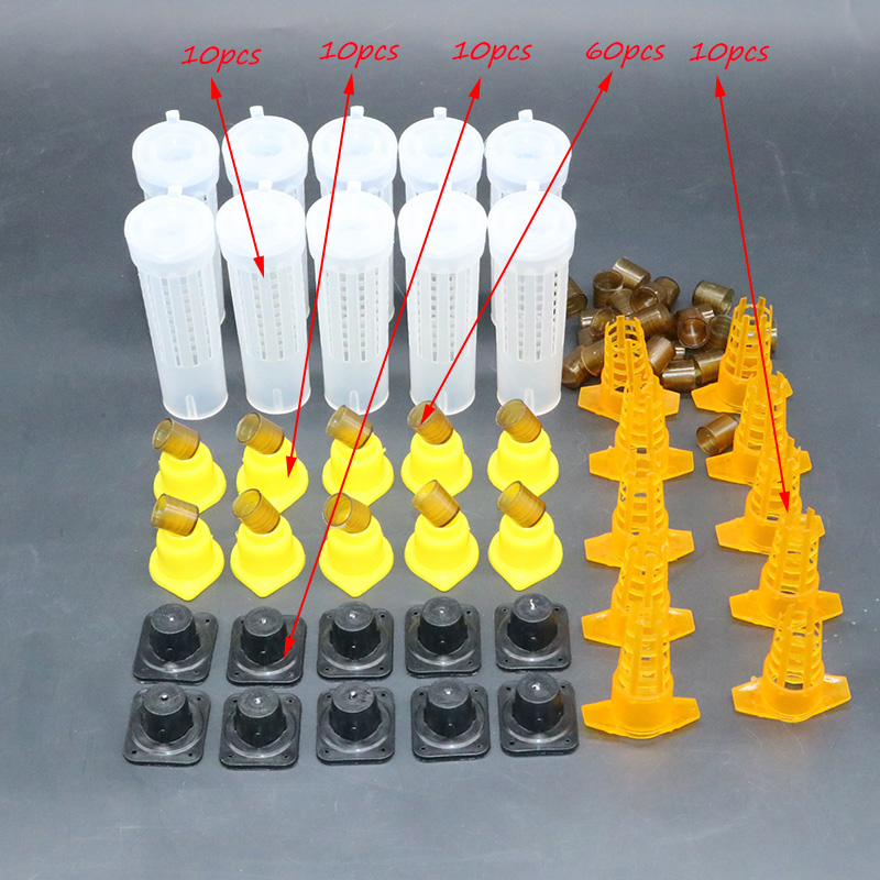 Complete bee queen king rearin - đánh giá và giá Begonia Rex